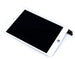 Replacement Screen Assembly for iPad Mini 5 - 3C Easy Markham