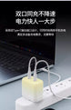 Pisen GaN PD+PPS 35W USB-C outputs x2 Charger - 3C Easy Markham