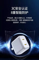 Pisen GaN PD+PPS 35W USB-C outputs x2 Charger - 3C Easy Markham